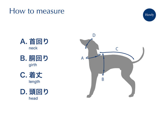 イタグレの採寸方法(犬の採寸方法)