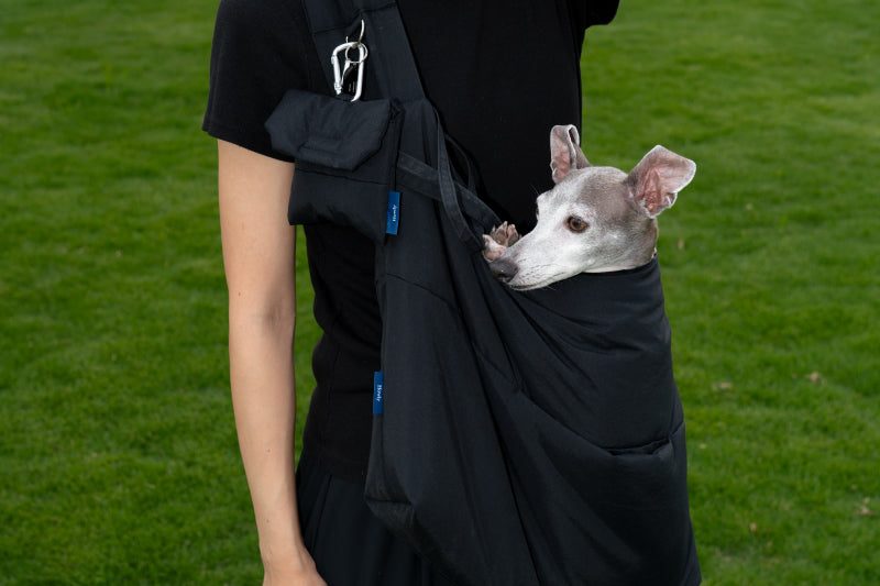 犬用スリング完全ガイド｜HOWLY PUFF SLING BAG – Howly