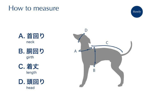 愛犬の正確な測り方ガイド