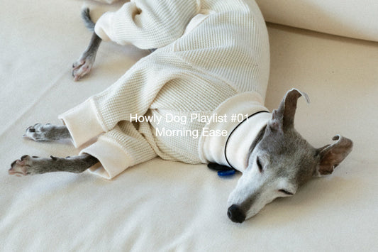 Howly Dog Playlist
