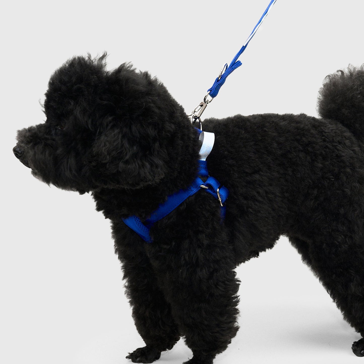 HOWLY UNIVERSAL HARNESS
