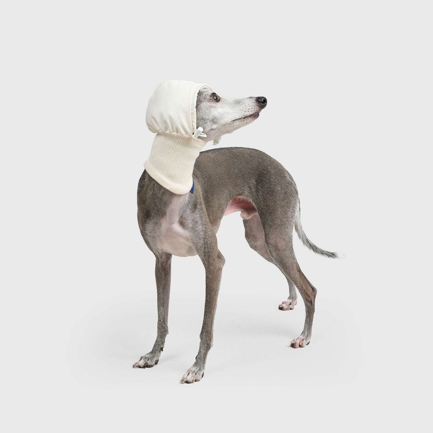 DOG PUFF BALACLAVA