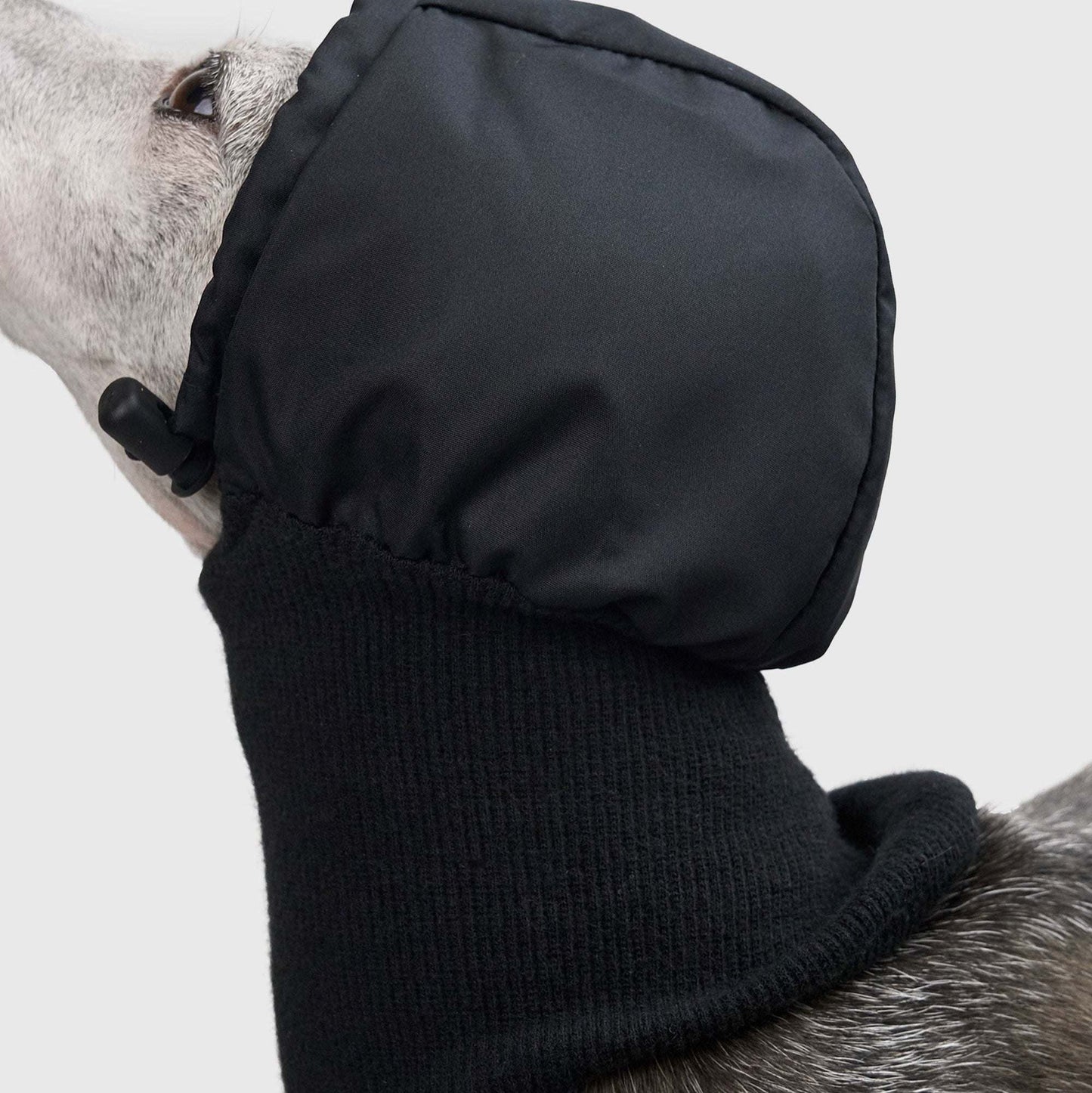 DOG PUFF BALACLAVA