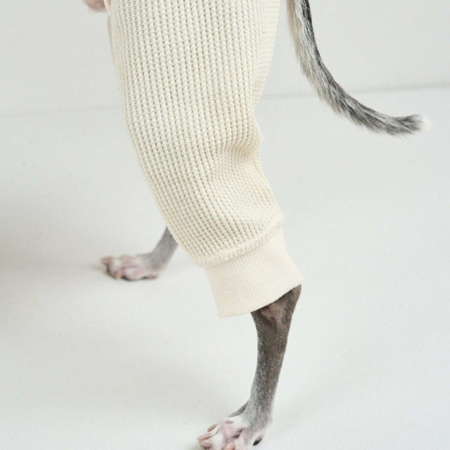 THERMAL HIGH-NECKED ROMPERS ドッグサーマル