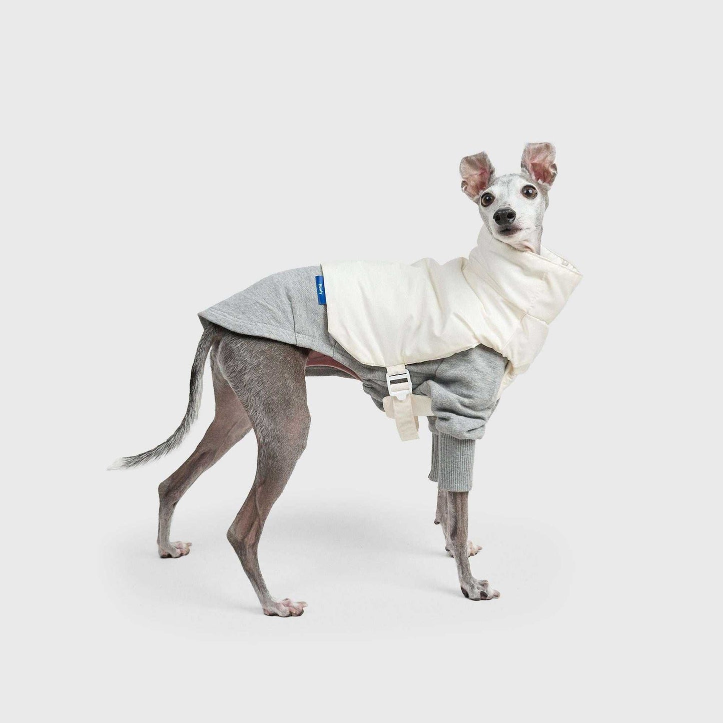 MOCKNECK SWEAT SHIRTS