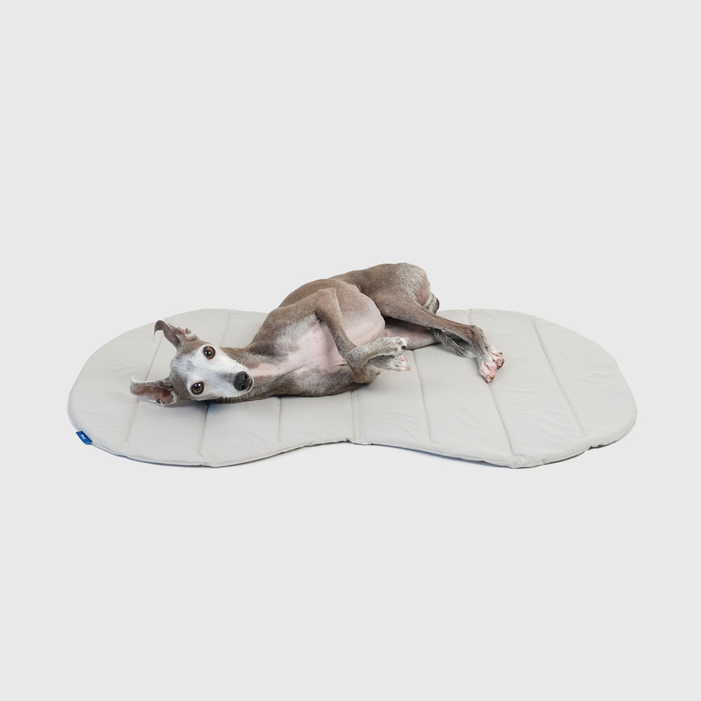 PACKABLE UTILITY DOG MAT