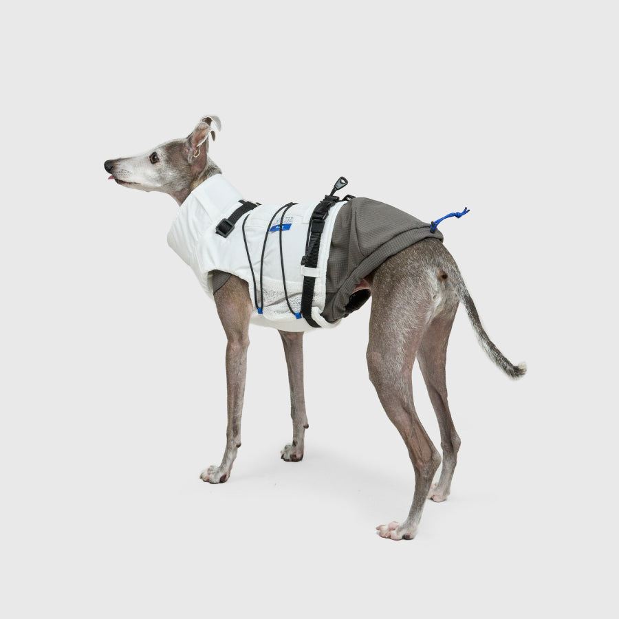 FRAME-X ADV HARNESS