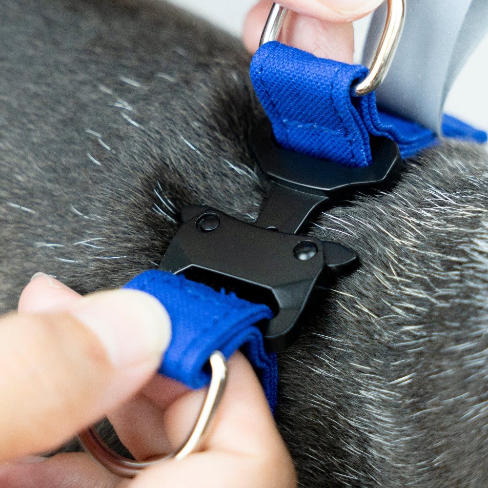 HOWLY UNIVERSAL HARNESS