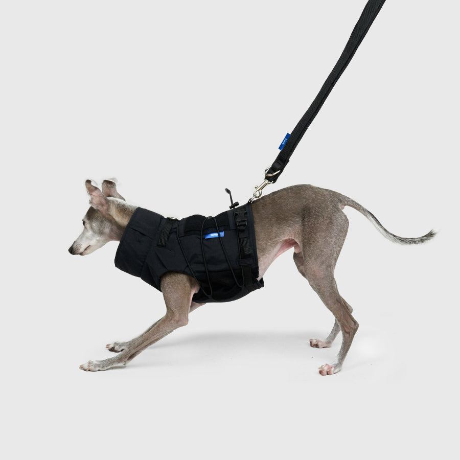 FRAME-X ADV HARNESS