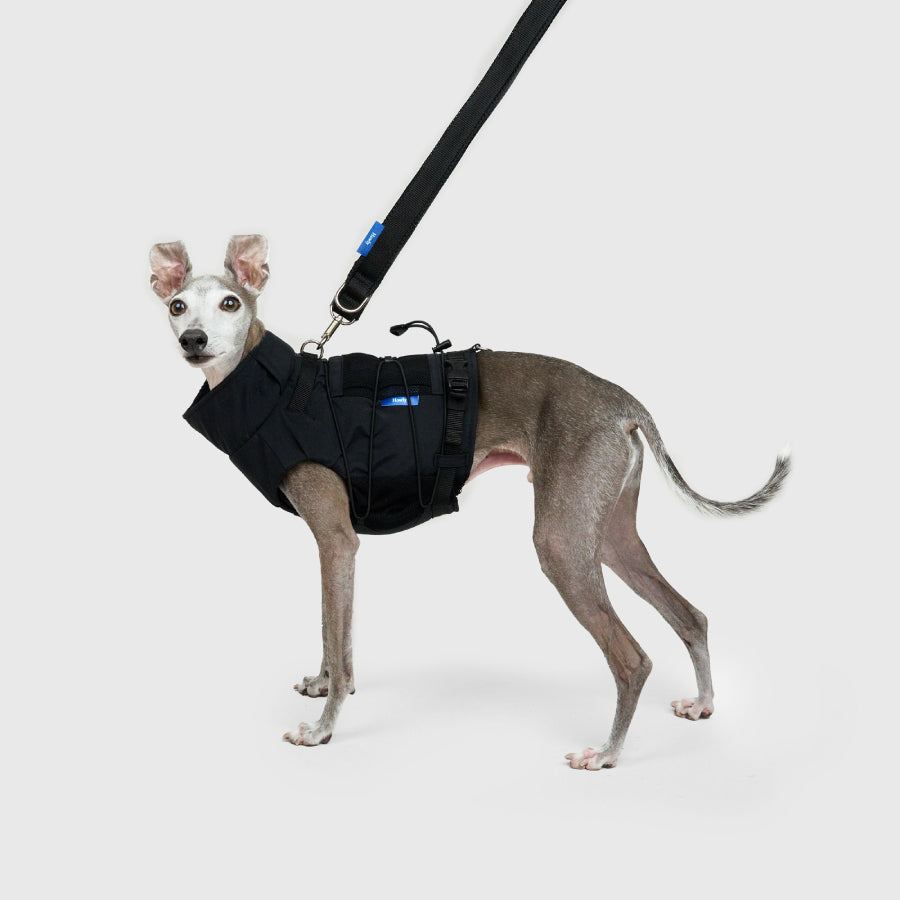 FRAME-X ADV HARNESS