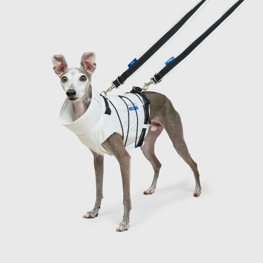 FRAME-X ADV HARNESS