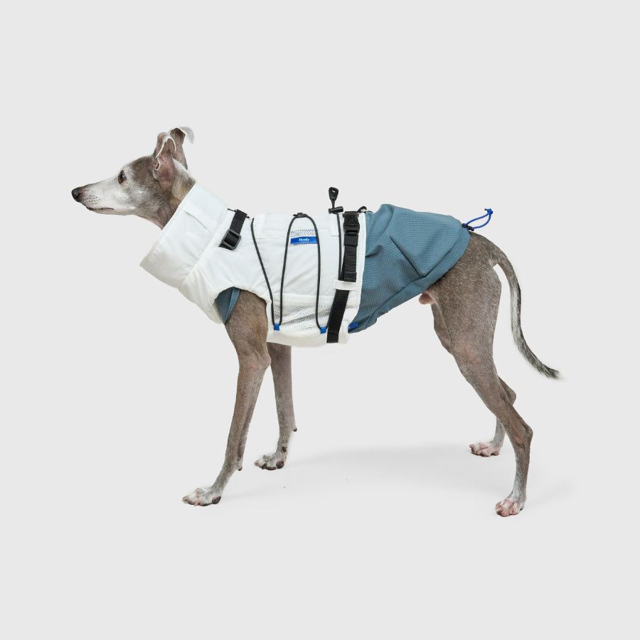 FRAME-X ADV HARNESS