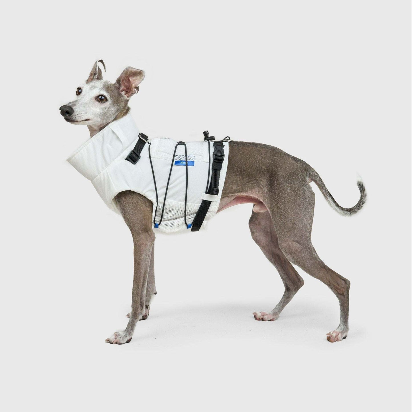 FRAME-X ADV HARNESS