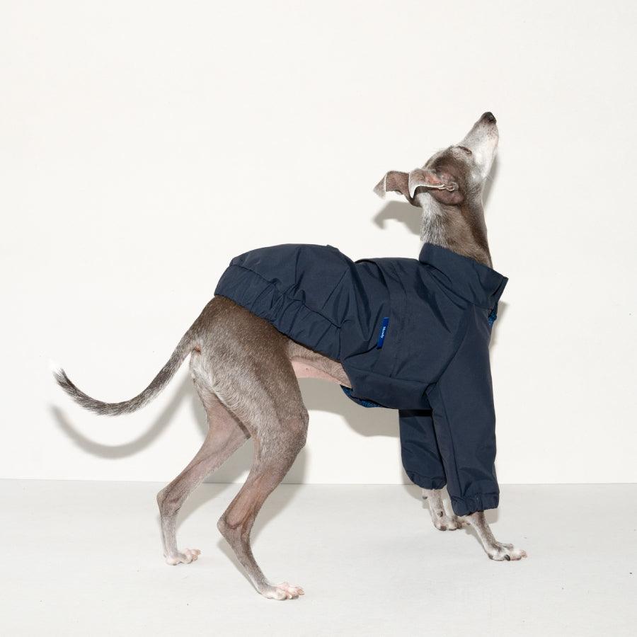 FRENCH POLICE WATER PROOF JKT