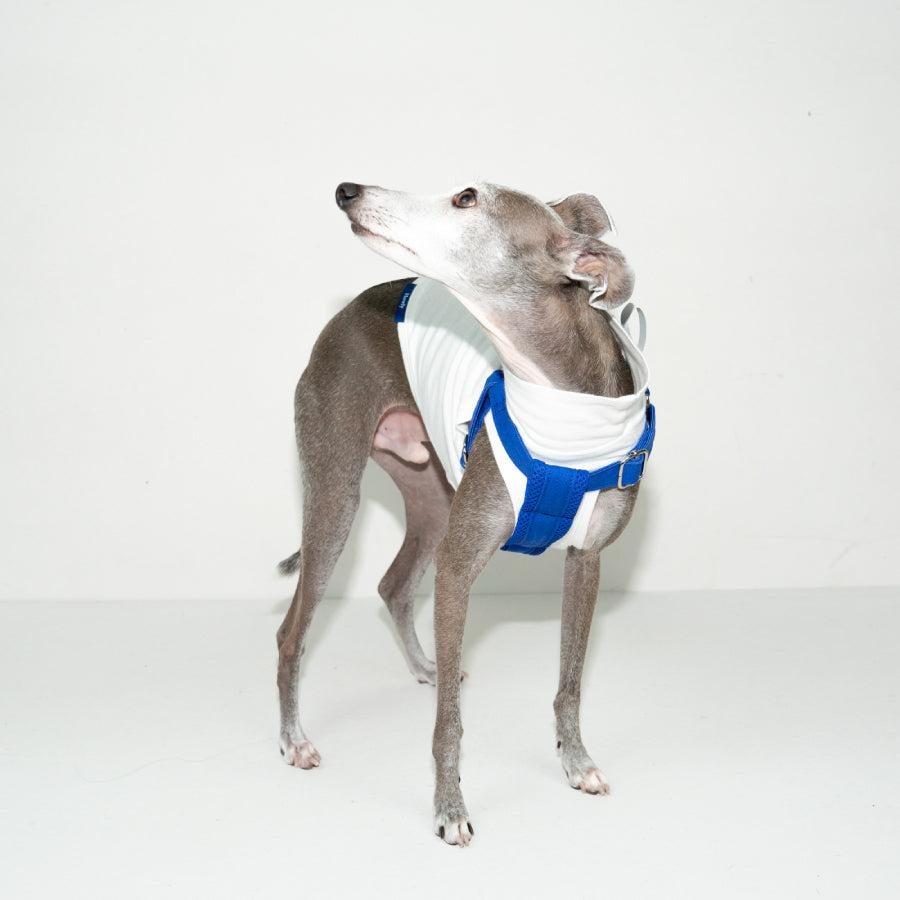 HOWLY UNIVERSAL HARNESS