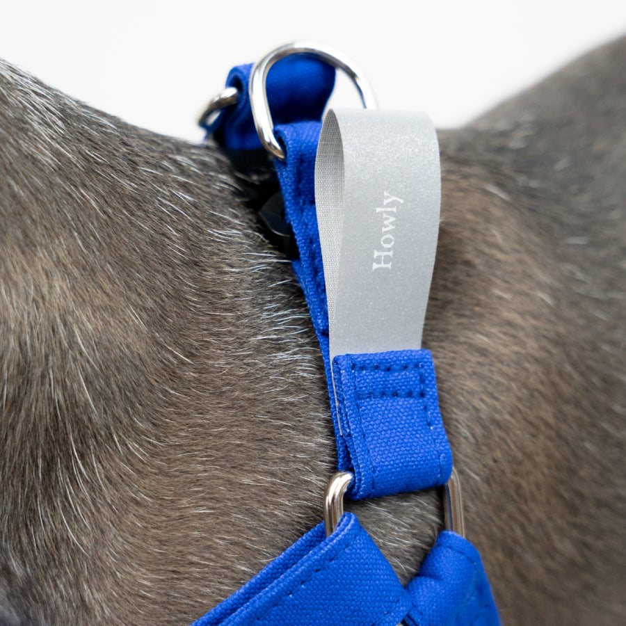 HOWLY UNIVERSAL HARNESS