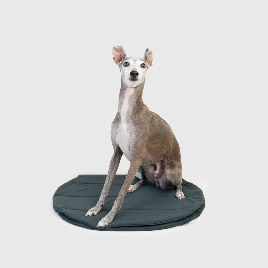 PACKABLE UTILITY DOG MAT