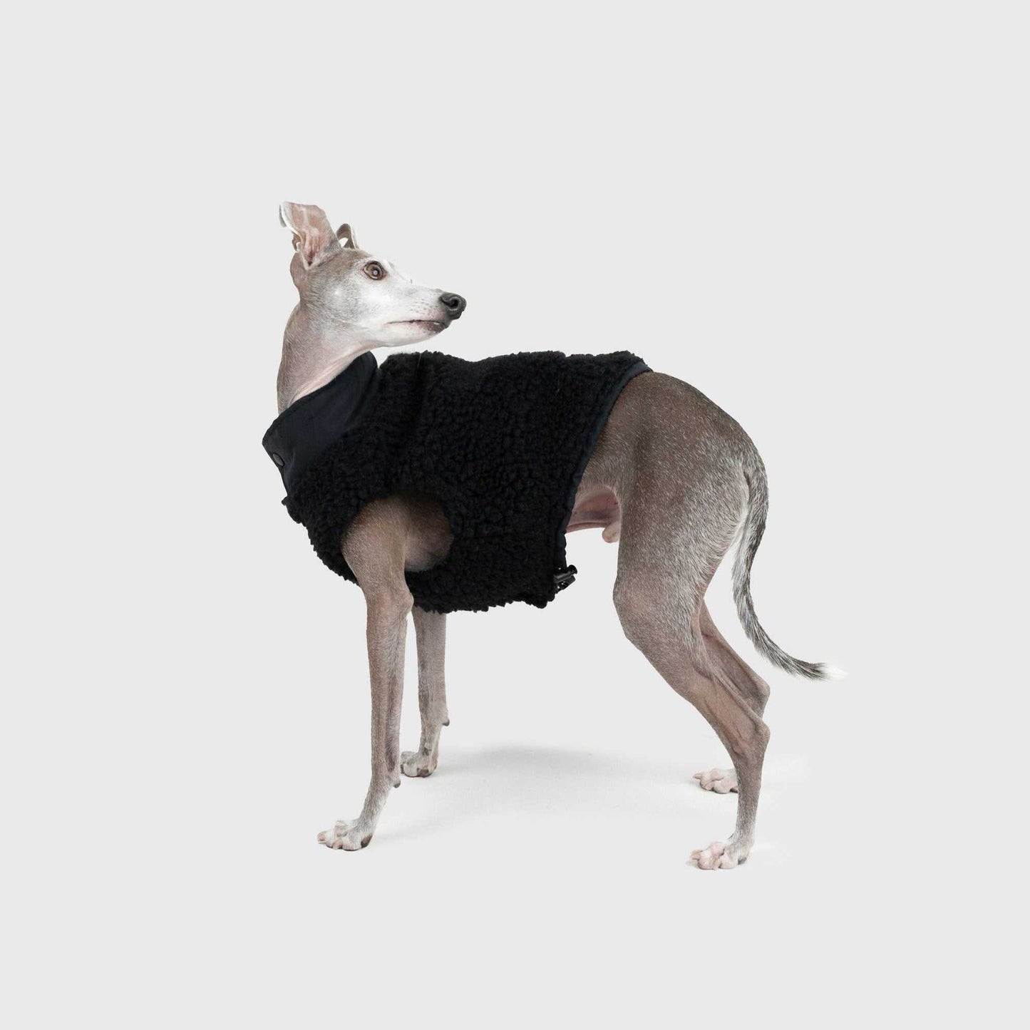 REVERSIBLE BOA VEST 犬用ベスト