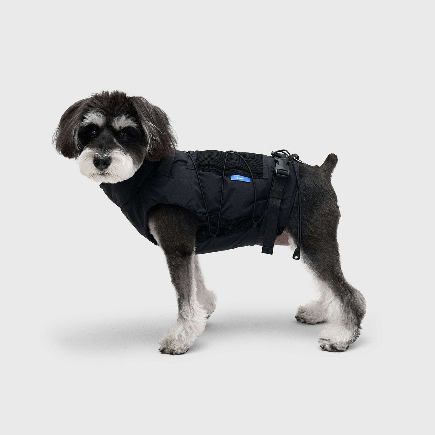 FRAME-X ADV HARNESS