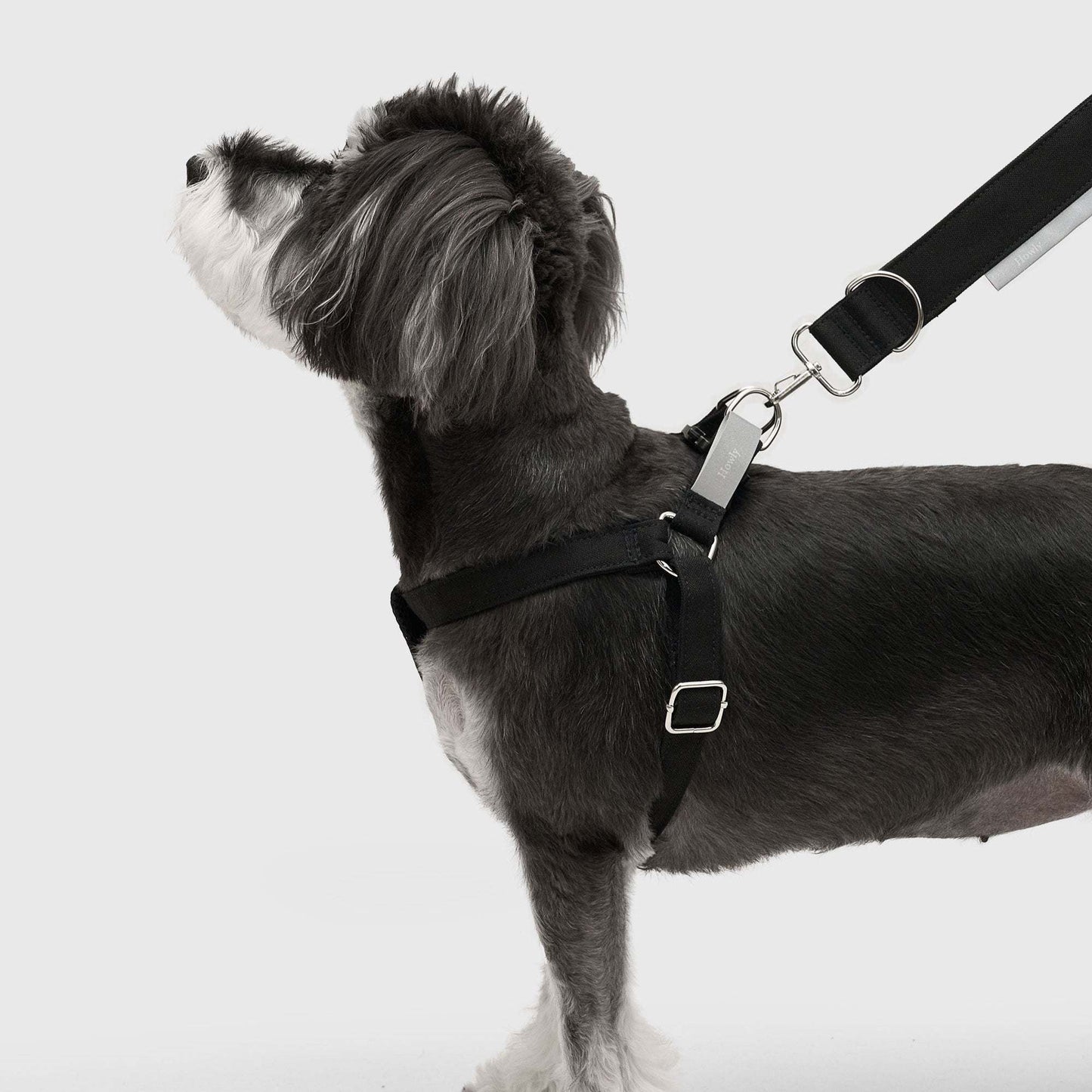 HOWLY UNIVERSAL HARNESS