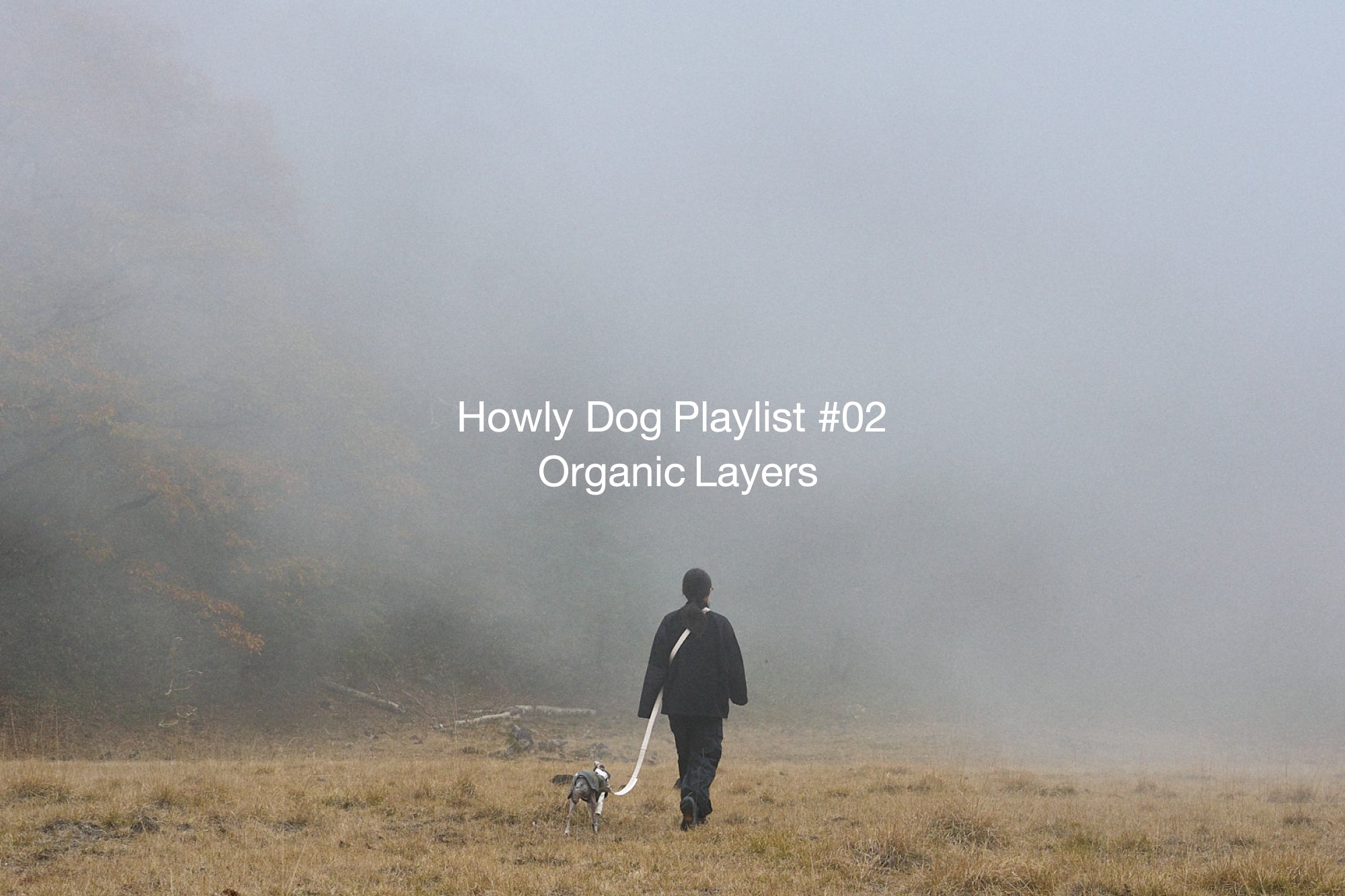 Howly Playlist #02 Organic Layers