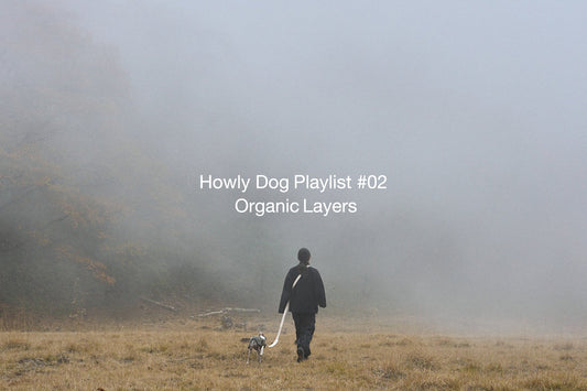 Howly Dog Playlist #02||Organic Layers