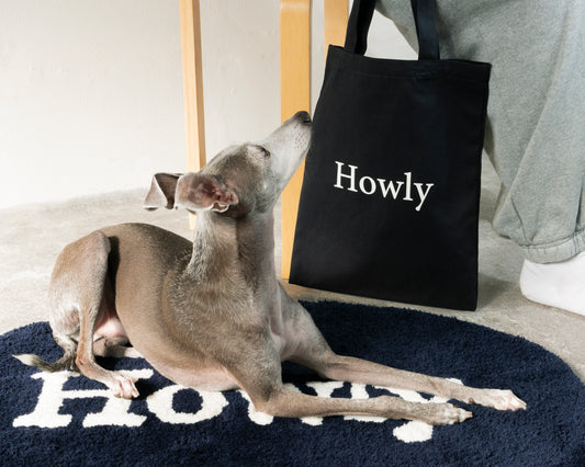 Howly 1st Anniversary