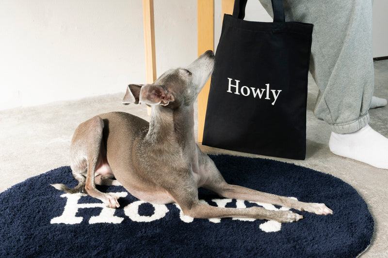 Howly 1st Anniversary