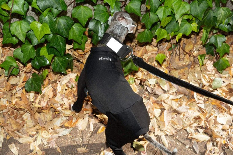 CORDURA®フリースがもたらす 新たな日常着の選択肢 | FLEECE TECH ROMPERS – Howly