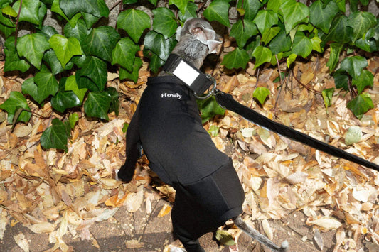 FLEECE TECH ROMPERS