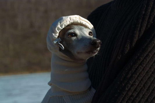 Howly DOG PUFF BALACLAVA（犬用バラクラバ）