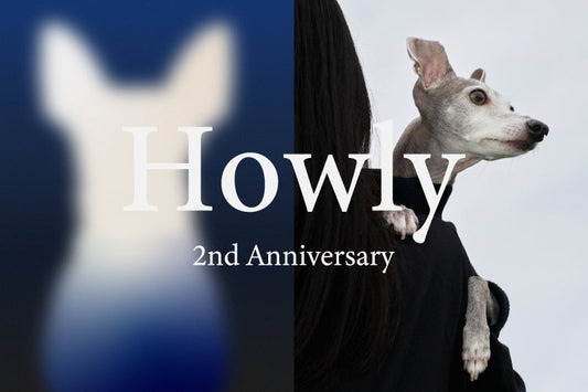 Howly 2nd Anniversary