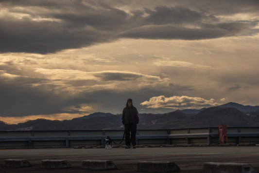 HOWLY ARCHIVE GALLERY：||New Light, New Stories vol.1