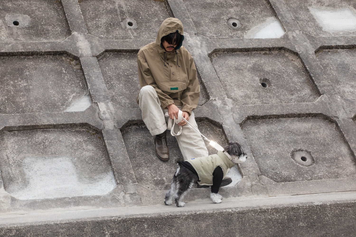 Howly Official Online Shop | New Standard for Dogs | MADE IN JAPAN