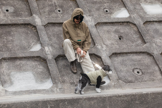 HOWLY ARCHIVE GALLERY：||New Light, New Stories vol.2