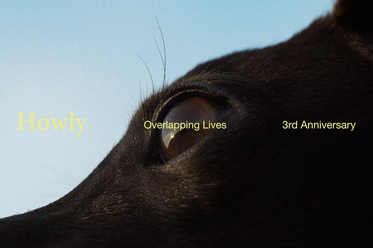 Howly 3rd Anniversary “Overlapping Lives”