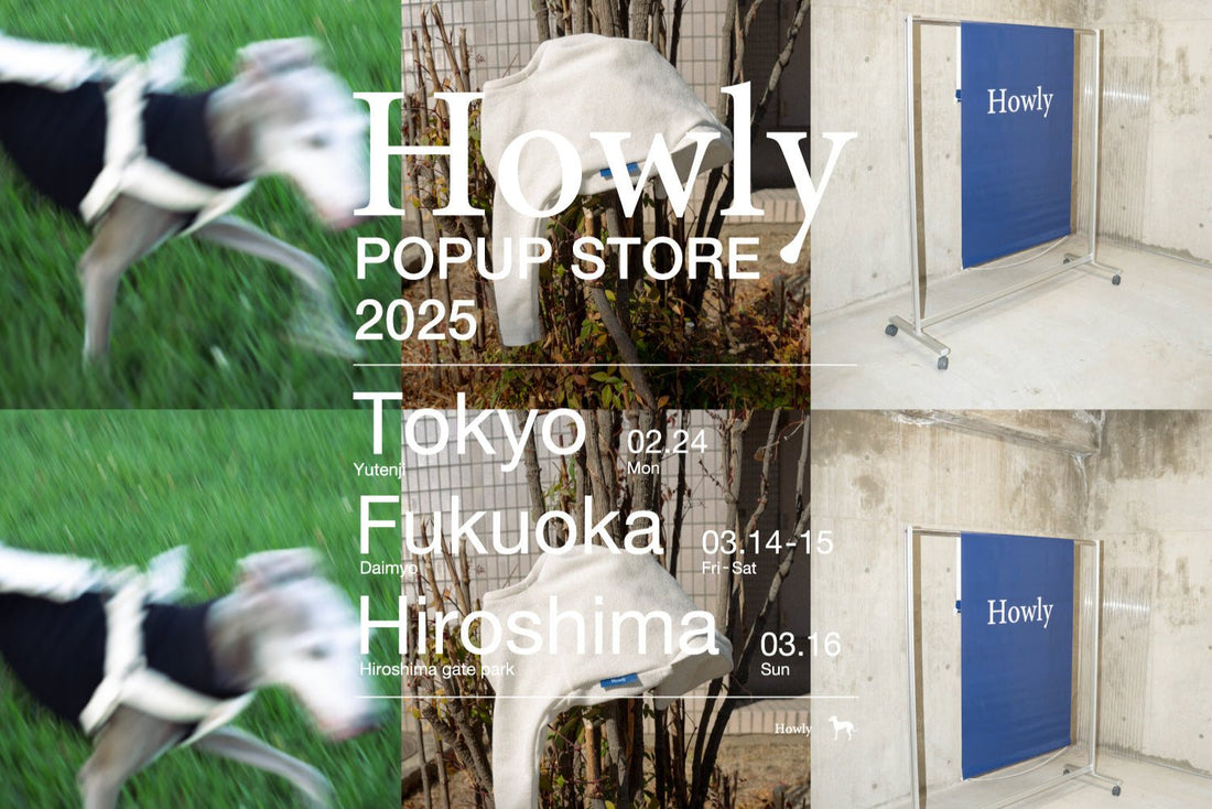 Howly POPUP STORE 2025