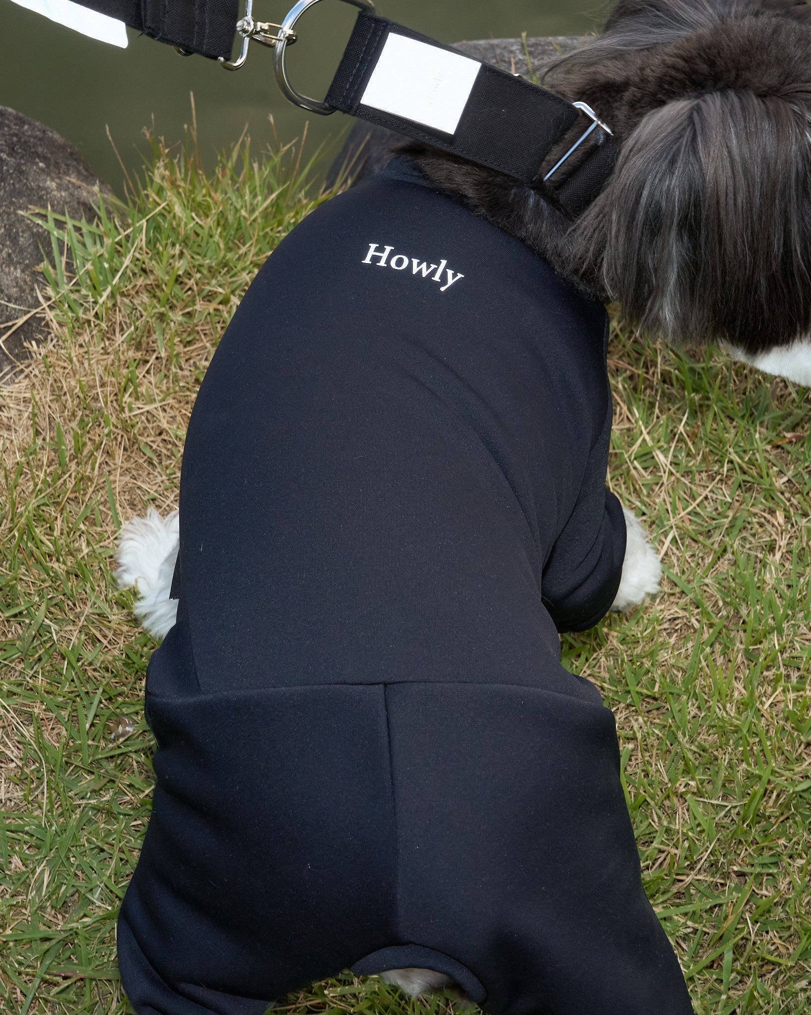 Howly APOLLOSUITS Mサイズ ドッグスーツ APOLLO SUITS | Howly | 調整機能と保温性を備えた、ミニマルなドッグ