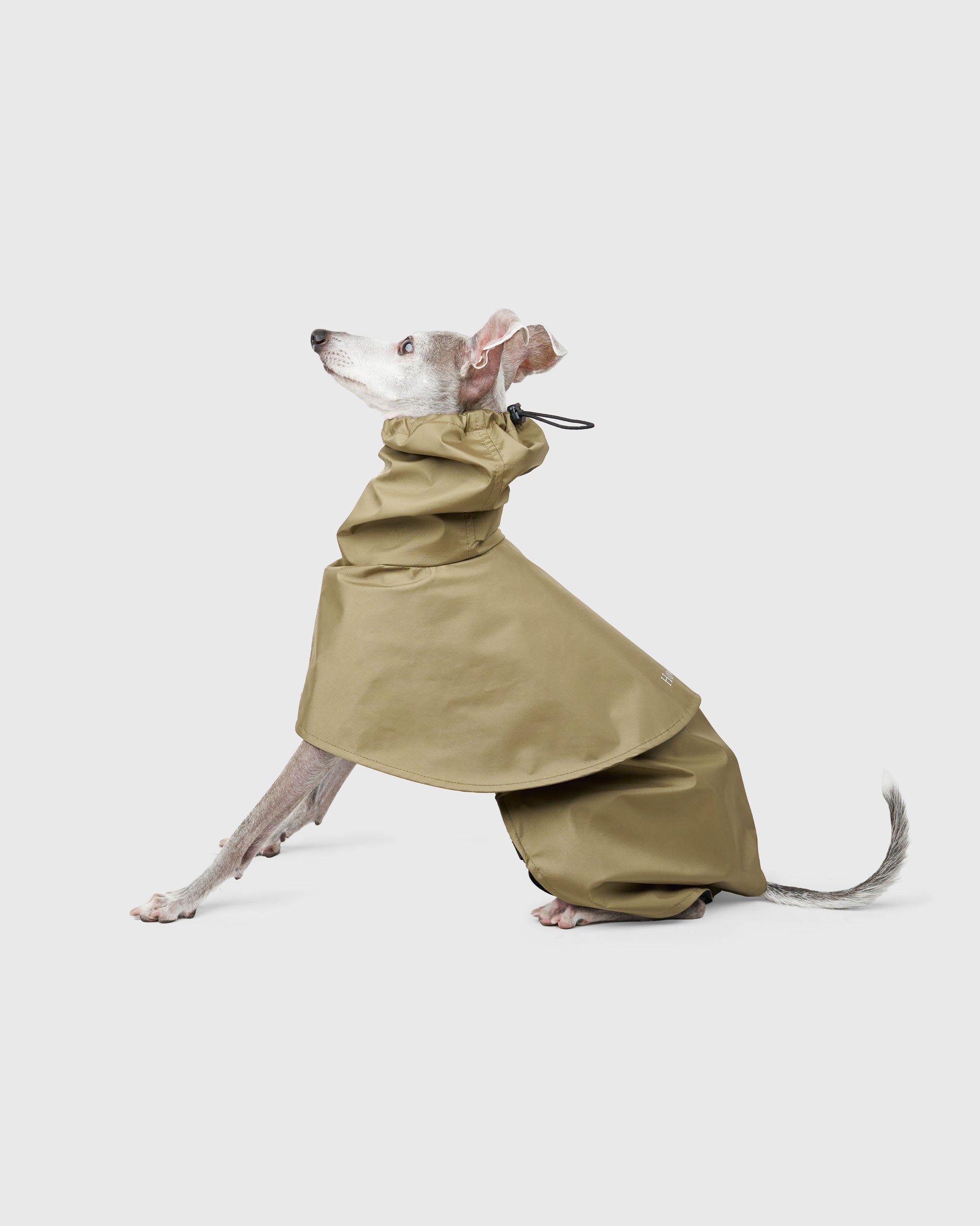 ALL | Howly商品一覧 | DOG WEAR&GOODS | Howly