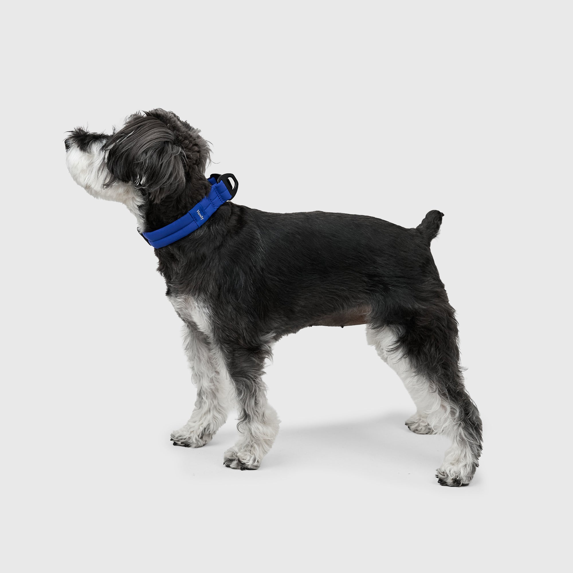 MALLOW-CORE™ COLLAR