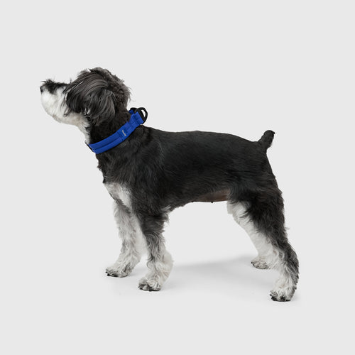 MALLOW-CORE™ COLLAR