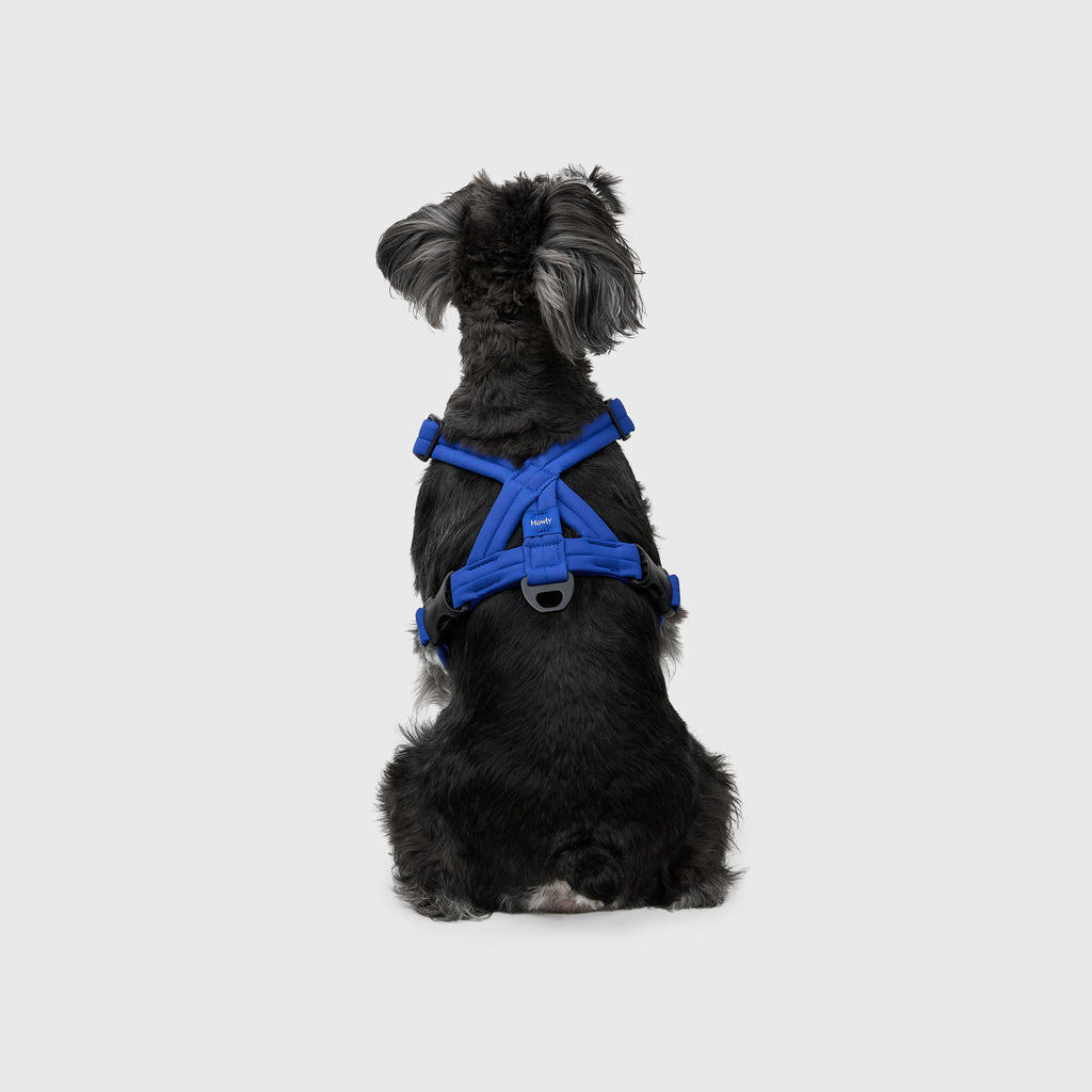 MALLOW-CORE™ HARNESS