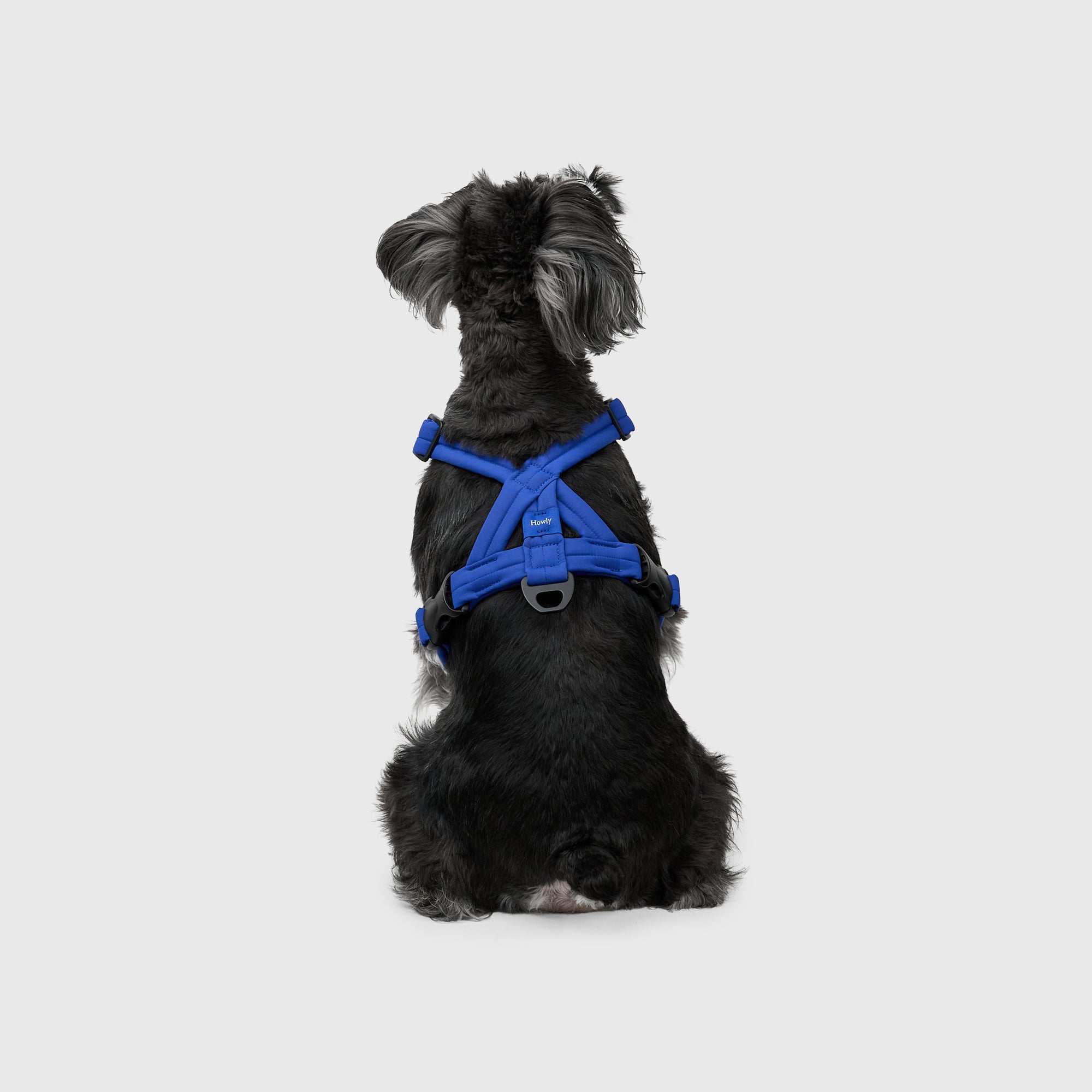 MALLOW-CORE™ HARNESS