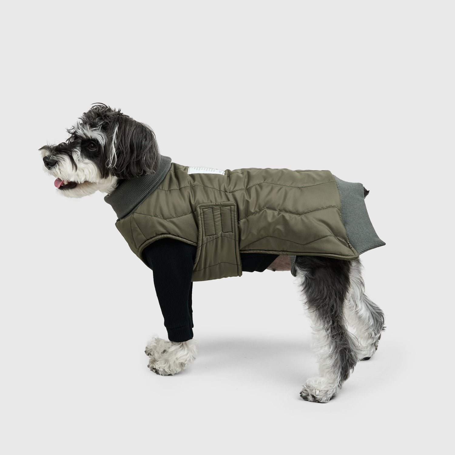 Howly Official Online Shop | New Standard for Dogs | MADE IN JAPAN