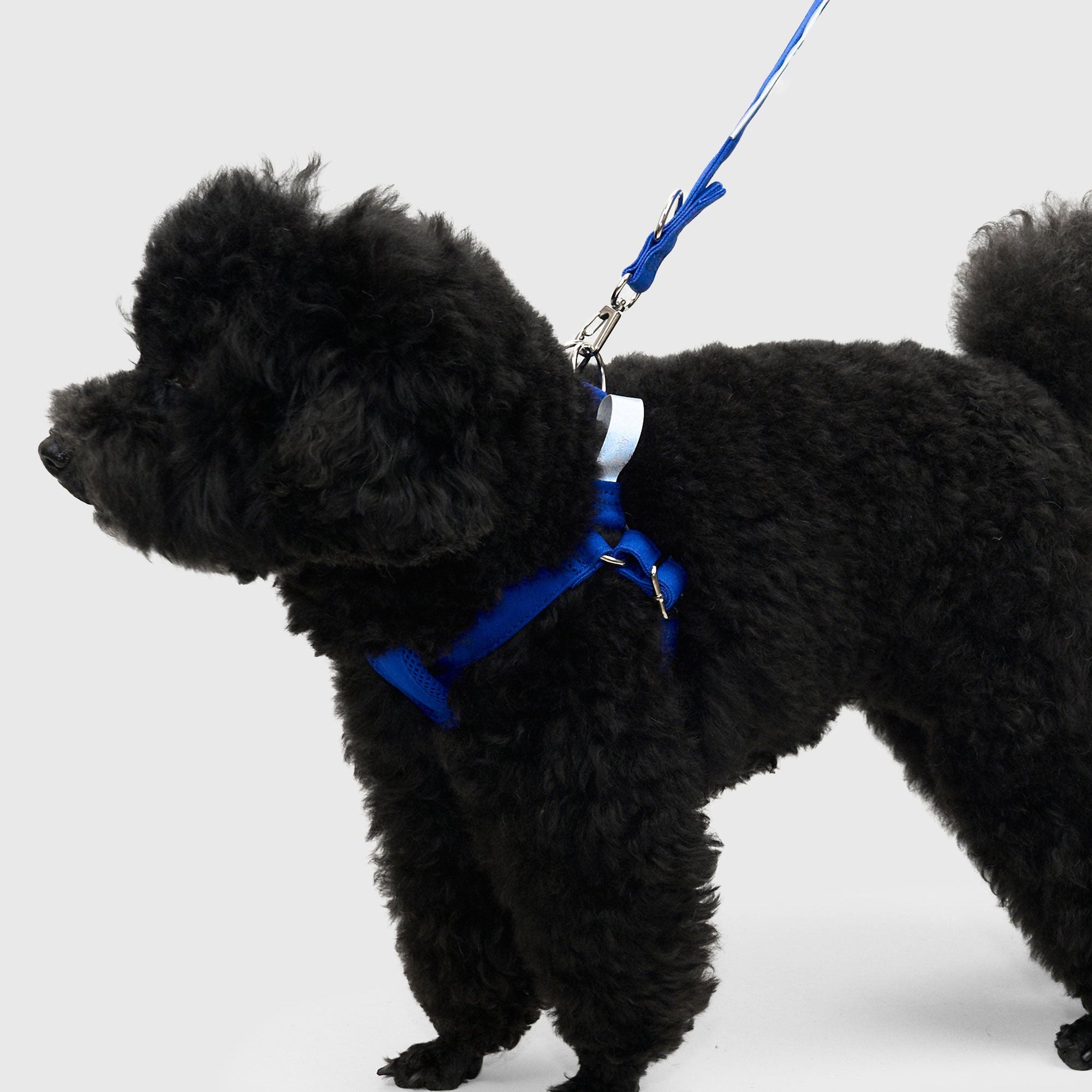 HOWLY UNIVERSAL HARNESS | ドッグハーネス