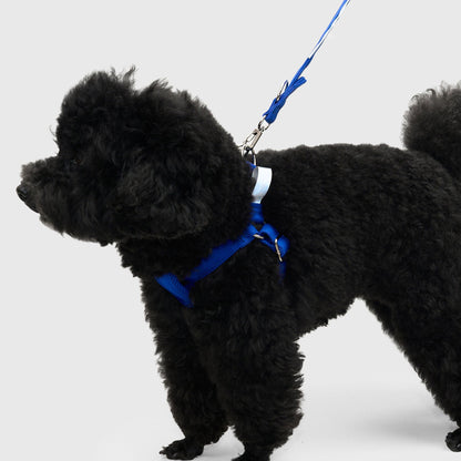 HOWLY UNIVERSAL HARNESS