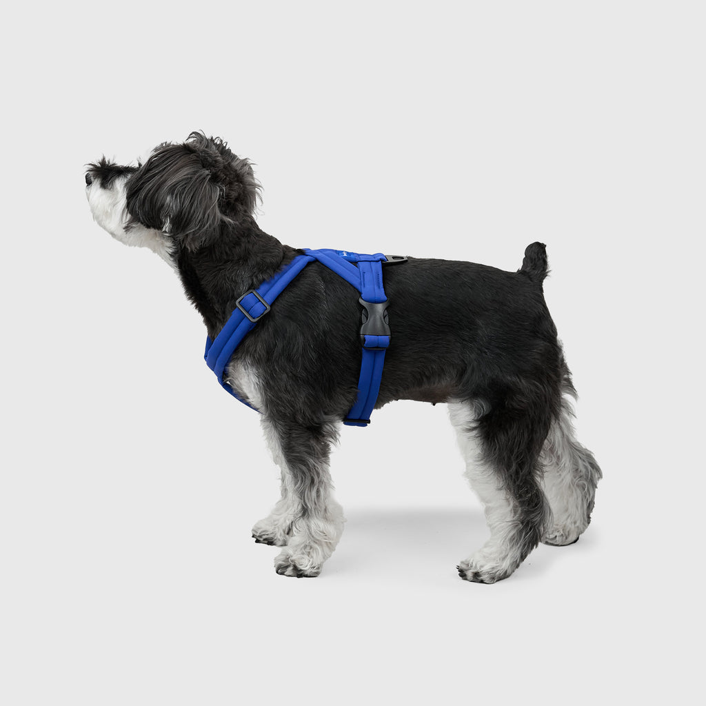 MALLOW-CORE™ HARNESS