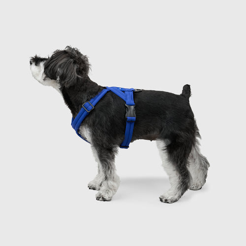 MALLOW-CORE™ HARNESS