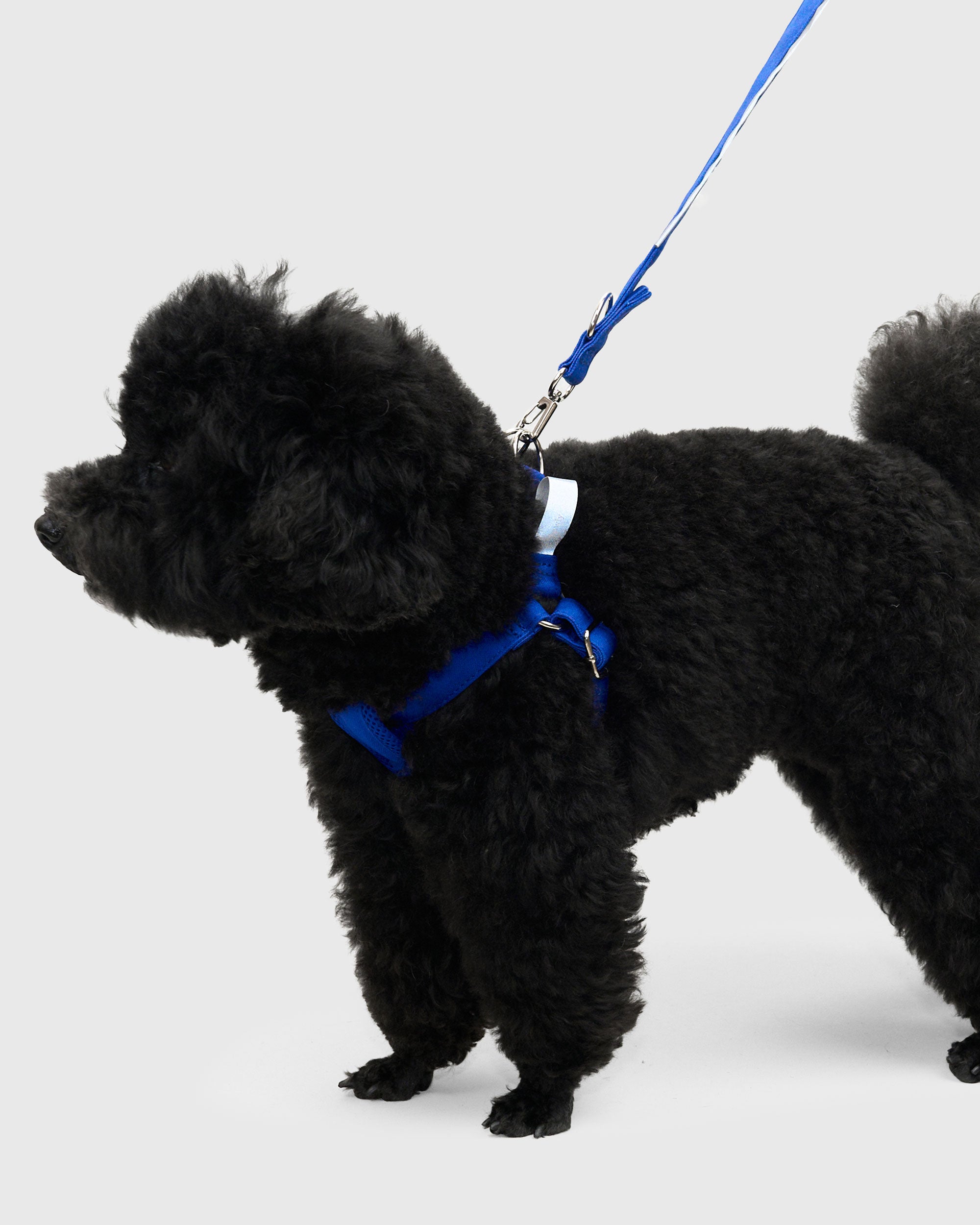 HOWLY UNIVERSAL HARNESS