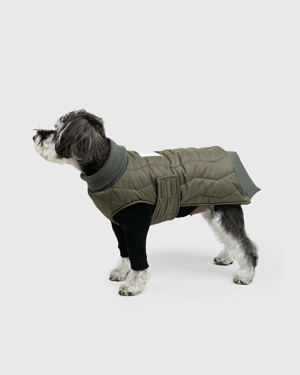 QUILTED LINER COAT